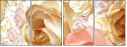72588674