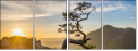 73281378