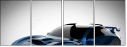 73705056