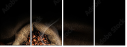 74493123