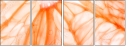 74688264
