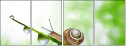 74834068