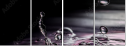 75116063