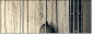 75167527