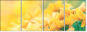 75458724