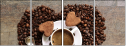 75559293