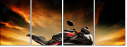 75568726