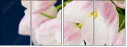75628486