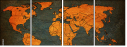 75684084