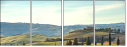 75685044