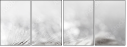 75689108