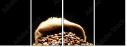 75743507