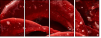75798905