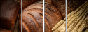 76000562