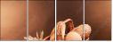 76078757