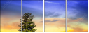 76125130
