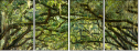 76209403