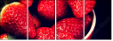 76277931