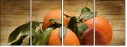 78022660