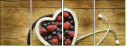 78992558