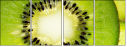 79048317