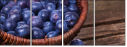 79175349