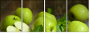 83345203