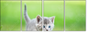 85494718