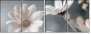 877089715