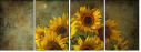 904593686
