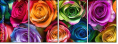 913577319