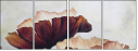 94677778
