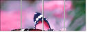 95266681