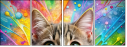 989097217