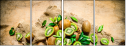 99225071