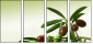 11107716