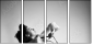 11330269