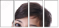 11425626