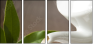 11542609