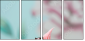 12612957