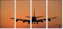 1443651