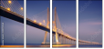 149714558
