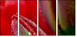 15487800