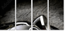 16438072