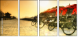 16482031