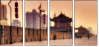 16482076