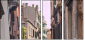 20333502