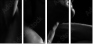 20350082