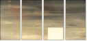 21155951