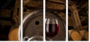 21442815
